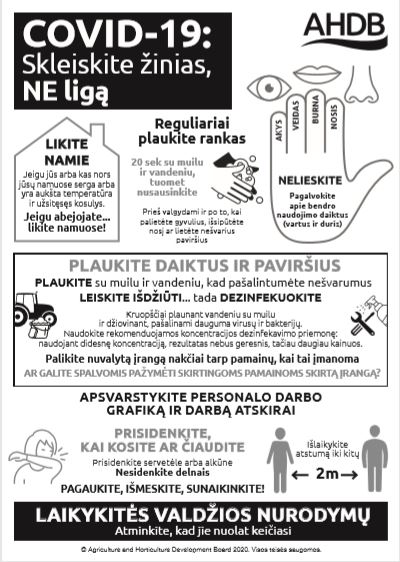 Coronavirus COVID-19 poster in Lithuanian